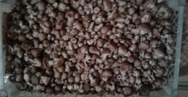 Venderé después de ordenar por teléfono miel joven miel