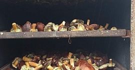 Hola, tengo a la venta hongos secos de unos
