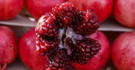 si quiere comprar podemos discutir su precio, número para