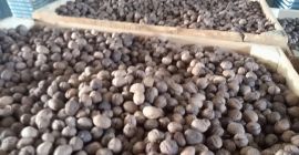 Las mejores nueces por daños. El calibre 28+ se