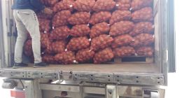 Venta de papas al por mayor en Pavlodar, Kazajstán,