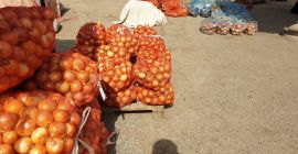 Cebolla, País de origen: Uzbekistán, Embalaje: bolsas de 30