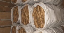 Compro perejil blanco, tamaño comercial. Selección manual