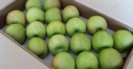 Granny Smiths, tamaño de manzana 65+, calibrada y empacada