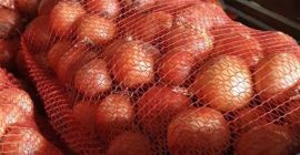 Venderé cebollas en saco Calibre 4-7 Variedad - Bosco,