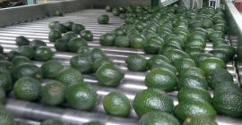 Nos especializamos en la importación y exportación de productos