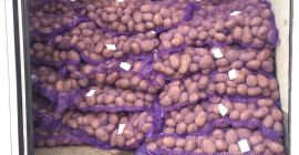El mejor precio para papas del mercado. 140 euros