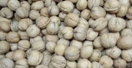 Tengo a la venta nueces de la cosecha de