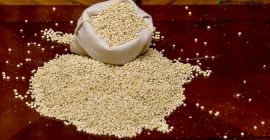 MOQ 18 TON CIF i FOB