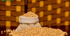 garbanzos MOQ 18 TON FIRSTEYE AGRO EXPORT web www.peanuts.sd