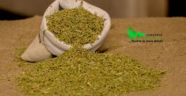 SEMILLAS CUMIN MOQ 18 TONELADAS FIRSTEYE AGRO EXPORT web