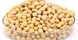 Semilla de soja de calidad premium a un precio