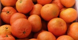 Clementina premium griega PRECIO EXW =&gt; 0,68 € /