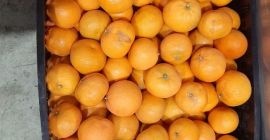 KAL 4 5 6. TANDERS Envasados en 15 kg