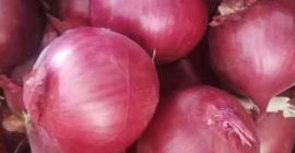 Cebolla roja fresca disponible para ventas si está interesado,