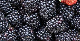 Frutas frescas producen
