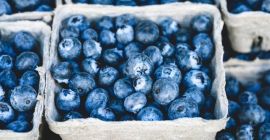 Disponible fresco y congelado