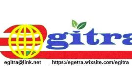 Naranjas frescas de ombligo - Clase 1 - tamaño