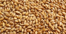 Ofrecemos lo mejor ...