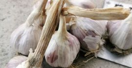 Harnaś ajo, sano, agradable, calibrado. Recomendable, a partir de