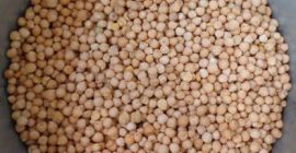 Humedad: máx.12% Manejo de negros: 0.4% Manejo de granos