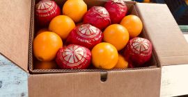 Venderé naranjas (Egipto) Egipto: United Horus para el fabricante