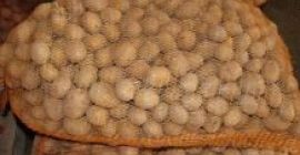 Venderé papas comestibles, Vinetta.