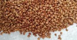 ¡Vendemos trigo sarraceno de excelente calidad! En sacos de