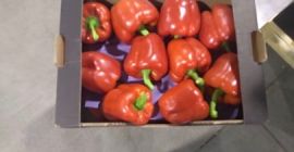 En venta Pimiento rojo de California Clase 2xG País