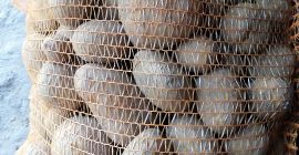 Venderé papas comestibles. Más información por teléfono.