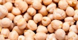 Nuestra empresa es uno de los principales exportadores de