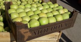 Manzanas doradas en grandes cantidades. Hacemos entregas en toda