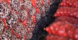Vendedor de cebollas frescas de Siria a un precio