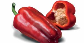 Es un vegetal largo y cuadrado, con pulpa gruesa,