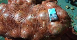 ¡Vendemos las mejores cebollas amarillas en Kazajstán! ¡Es hermoso