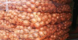 Venderé cebollas en una cáscara dorada de calibre 4-8