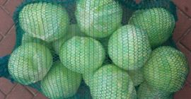 Venderé un hermoso calibre de calibre blanco de 1