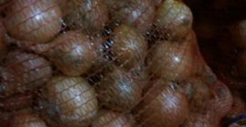 Venderé cebollas sin pelusa, en cantidades tirowych, en bolsas