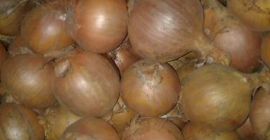 VENDERÉ &gt;&gt; LIBRO DOMÉSTICO