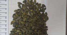 Somos una empresa directa de semillas oleaginosas, granos, frutos