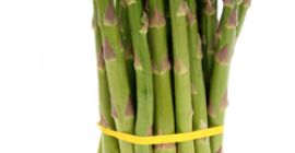 Vende espárragos en la temporada mayorista 2020.