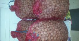 Nueces de 70 kg de la cosecha 2019 Seco,