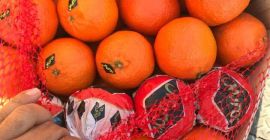 Mandarinas Clementinas Origen Marruecos Calibre : 1/2/3/4/5 Encajado :