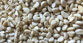 Venderé ajo Harnaś polaco pelado en blanco de mi