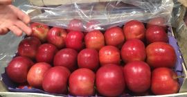 Características Producto: Manzanas Categoría: Fruta de hoja caduca Aspecto: