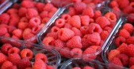 Póngase en contacto con WhatsApp o teléfono móvil 00393496208072