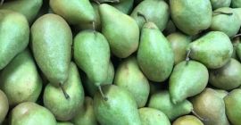 Las peras de xenia polaca excelente calidad abierta de