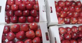 Somos un vendedor de frutas en Irán y como