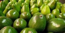 Grandes aguacates ... gran sabor ... excelente color y