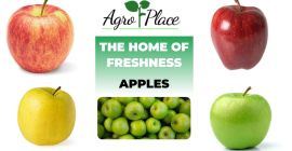 Ofrecemos: Manzanas Red Delicious, Manzanas Gala, Manzanas Golden Delicious,